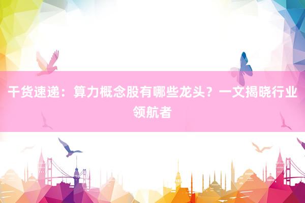 干货速递：算力概念股有哪些龙头？一文揭晓行业领航者