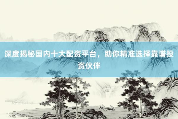 深度揭秘国内十大配资平台，助你精准选择靠谱投资伙伴