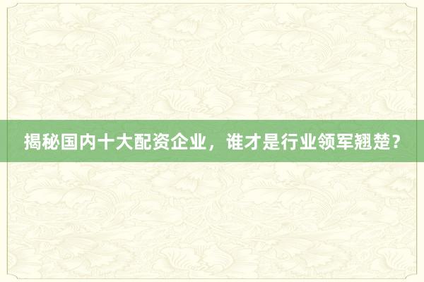 揭秘国内十大配资企业，谁才是行业领军翘楚？