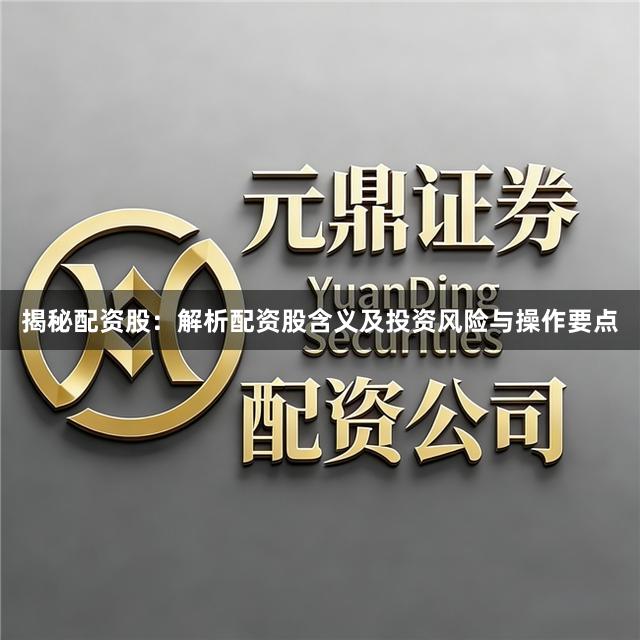 揭秘配资股：解析配资股含义及投资风险与操作要点