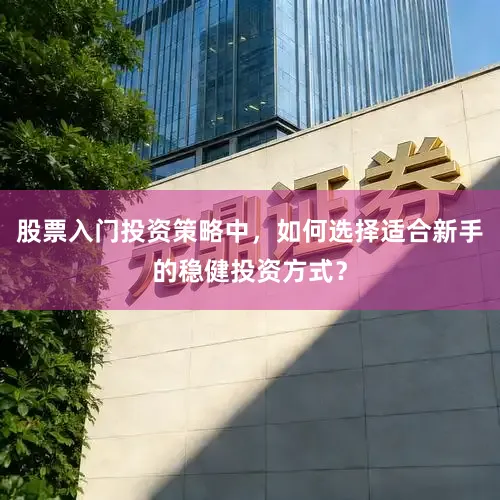 股票入门投资策略中，如何选择适合新手的稳健投资方式？