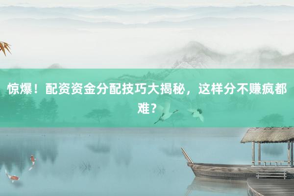 惊爆！配资资金分配技巧大揭秘，这样分不赚疯都难？