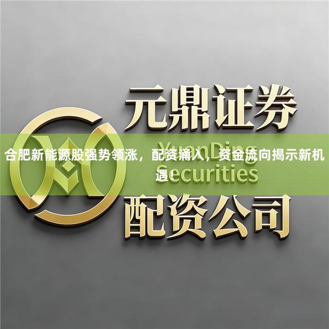 合肥新能源股强势领涨,配资涌入,资金流向揭示新机遇!