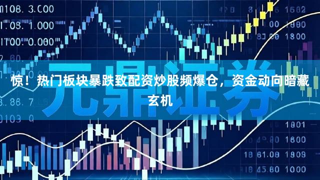 惊！热门板块暴跌致配资炒股频爆仓，资金动向暗藏玄机