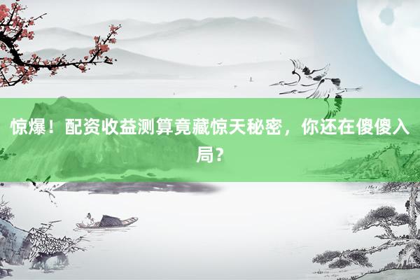 惊爆！配资收益测算竟藏惊天秘密，你还在傻傻入局？
