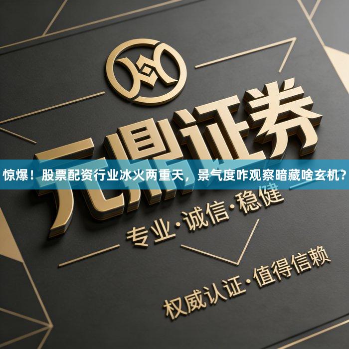 惊爆！股票配资行业冰火两重天，景气度咋观察暗藏啥玄机？