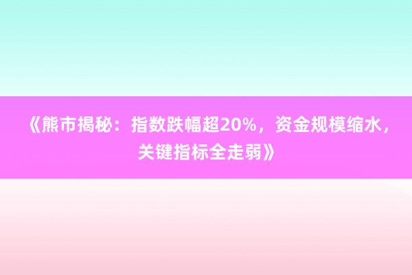 《熊市揭秘：指数跌幅超20%，资金规模缩水，关键指标全走弱》