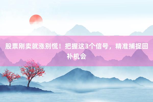 股票刚卖就涨别慌！把握这3个信号，精准捕捉回补机会