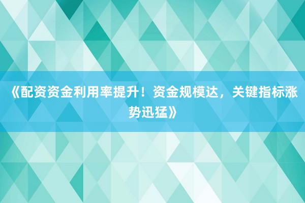 《配资资金利用率提升！资金规模达，关键指标涨势迅猛》