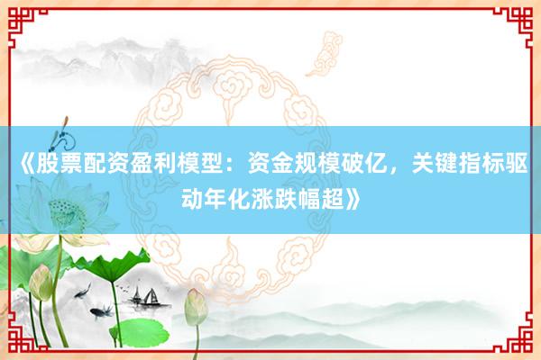 《股票配资盈利模型：资金规模破亿，关键指标驱动年化涨跌幅超》