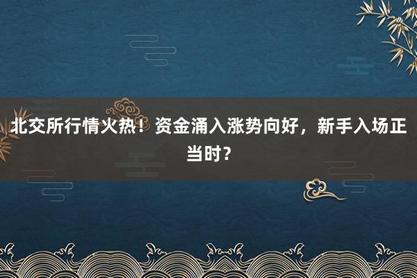 北交所行情火热！资金涌入涨势向好，新手入场正当时？