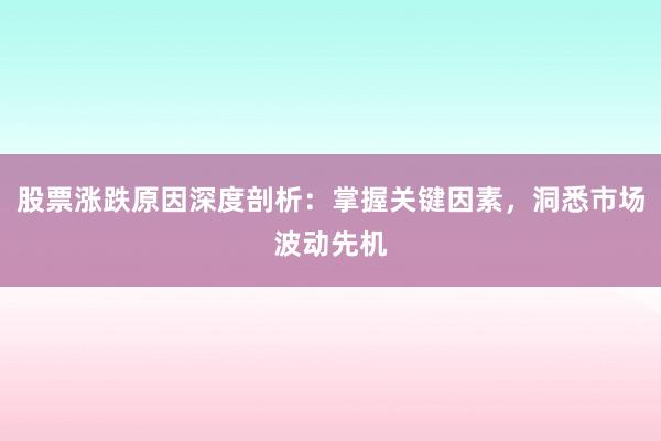 股票涨跌原因深度剖析：掌握关键因素，洞悉市场波动先机
