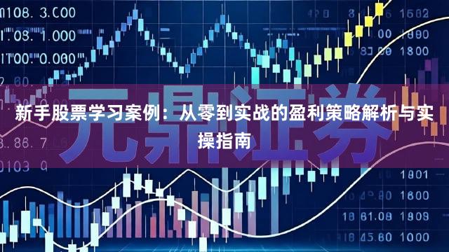新手股票学习案例：从零到实战的盈利策略解析与实操指南