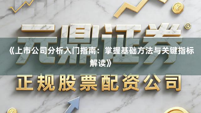 《上市公司分析入门指南：掌握基础方法与关键指标解读》