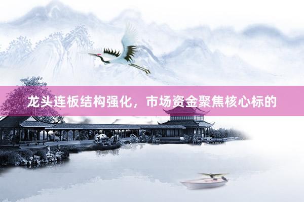 龙头连板结构强化，市场资金聚焦核心标的