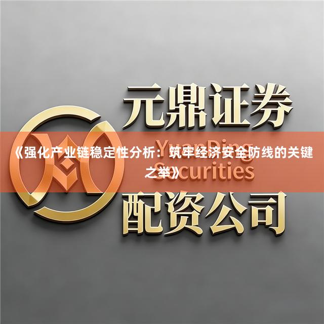 《强化产业链稳定性分析:筑牢经济安全防线的关键之举》