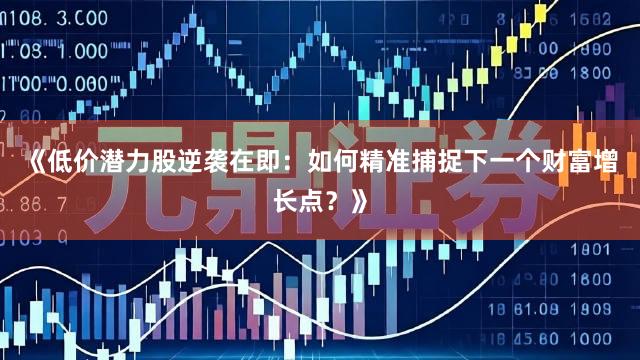 《低价潜力股逆袭在即：如何精准捕捉下一个财富增长点？》