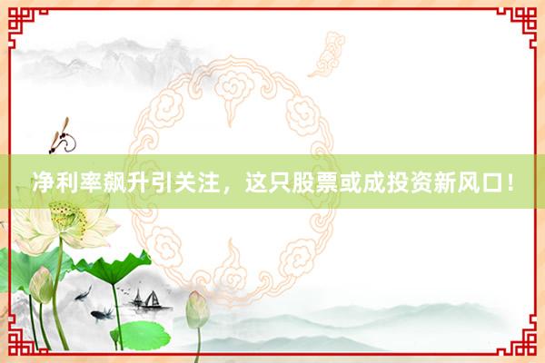 净利率飙升引关注，这只股票或成投资新风口！