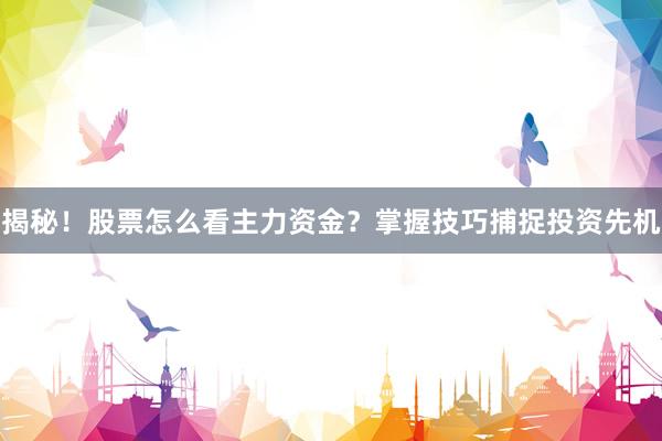 揭秘！股票怎么看主力资金？掌握技巧捕捉投资先机