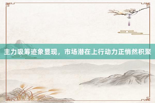 主力吸筹迹象显现，市场潜在上行动力正悄然积聚