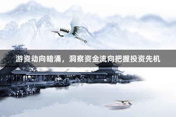 游资动向暗涌，洞察资金流向把握投资先机