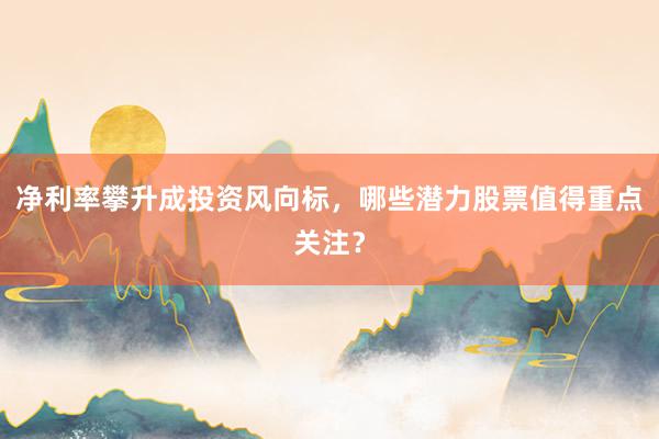 净利率攀升成投资风向标，哪些潜力股票值得重点关注？